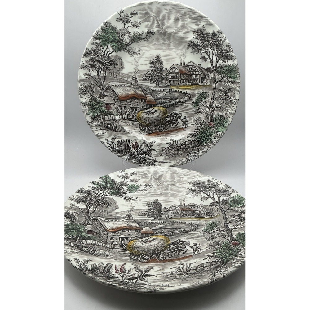 Vintage Staffordshire England Yorkshire 9.75" Ironstone Dinner Plates Set of 2